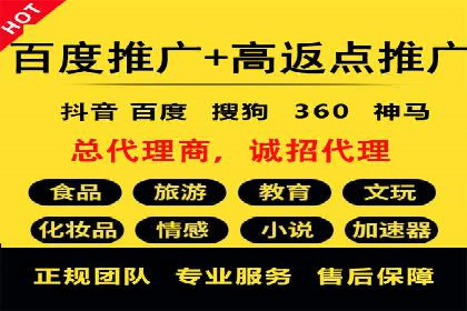 SEM代理服务：助力企业精准营销案例解析